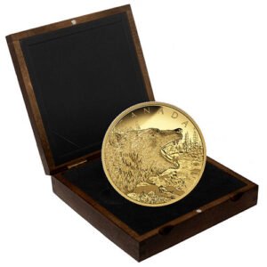 500 Gram Canadian Gold Roaring Grizzly