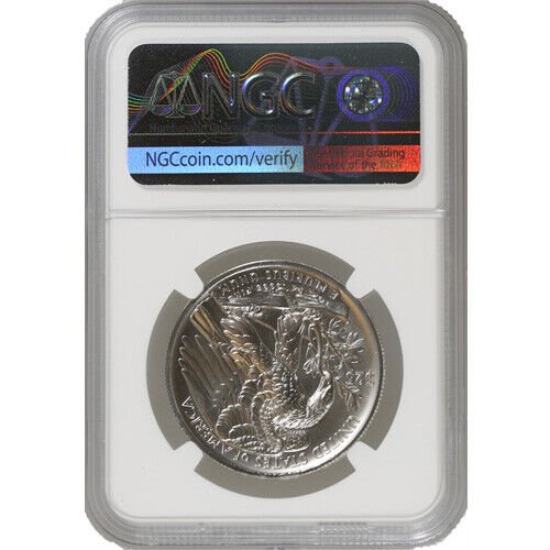 2020-W 1 oz Burnished American Palladi