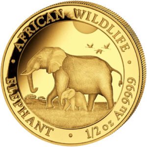2022 1/2 oz Somalia Gold Elephant Coin
