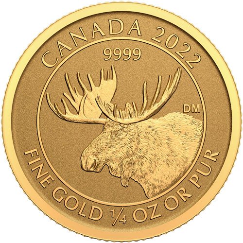 1/4 oz Canadian Gold Moose Reverse Pro