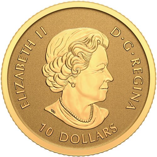 2022 14 oz Canadian Gold Moose Reverse Proof Coin (2)
