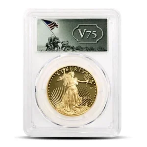 American Gold Eagle Coin PCGS PR69 DCA